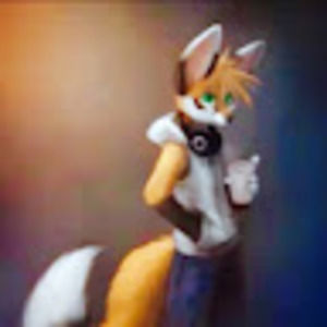 Meet your Posher, Vince